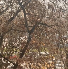 Продажа 1-комн квартиры на вторичном рынке проезд Шокальского, 67К2