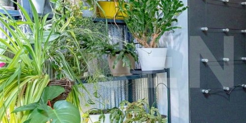 1-комн квартира улица Турку, 24К1