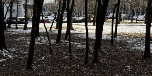 1-комн квартира улица Молостовых, 11К1