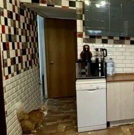 Продажа 2-комн квартиры на вторичном рынке Сестрорецк, улица Токарева, 15