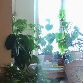 Продажа 2-комн квартиры на вторичном рынке Шереметьевская улица, 27 Продажа 2-комн квартиры на вторичном рынке Шереметьевская улица, 27