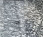 Продать Квартиры вторичка Коровинское шоссе, 3К1   