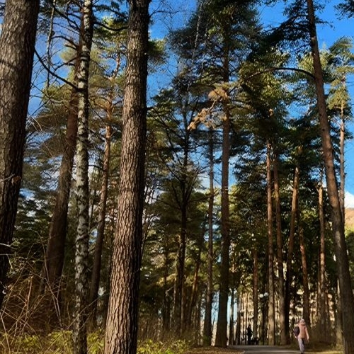 1-комн квартира Красногорск, улица Народного Ополчения,  д. 1