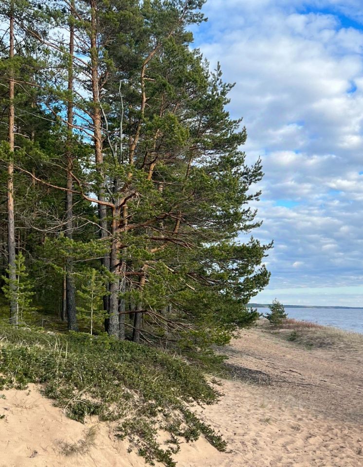 Продажа земли Алые Паруса кп, пос. Пески, проезд 6-й Парусный