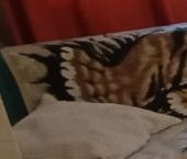 Сдать в аренду Квартиры вторичка Маяковского кв-л, Звенигород  5 