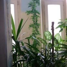 Продажа 3-комн квартиры на вторичном рынке улица Марьинский Парк, 17К2 Продажа 3-комн квартиры на вторичном рынке улица Марьинский Парк, 17К2