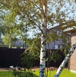 Продажа дома Петровские Сады кп, аллея Орхидей Продажа дома Петровские Сады кп, аллея Орхидей