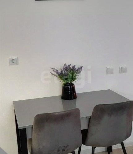 Студия Мурино, проспект Ручьевский, 15