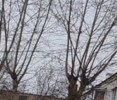 Продать Квартиры вторичка Большая Серпуховская улица, 31К6   