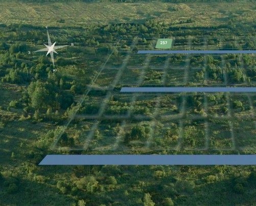 Земельный участок Петергоф, Петергофские Дачи кп