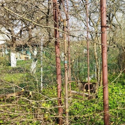 Земельный участок Автомобилист СНТ, 116