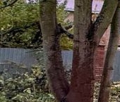 Продать Земельные участки, земля Красное Село, Дудергоф тер., улица Новая  11 