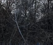 Продать Квартиры вторичка 16-я Парковая улица, 10   