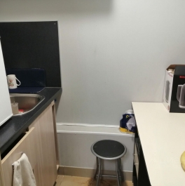 Аренда ПСН Пушкин г, Церковная ул