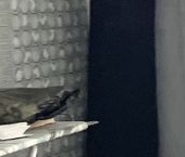 Продать Квартиры вторичка Таллинская улица, 24   