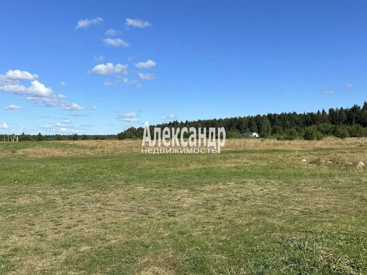 Продажа земли пос. Петрушино, Отрадное