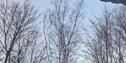 1-комн квартира пос. Бугры, Шоссейная улица, 20