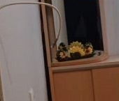 Сдать в аренду Квартиры вторичка Светлановский проспект, 62К1   