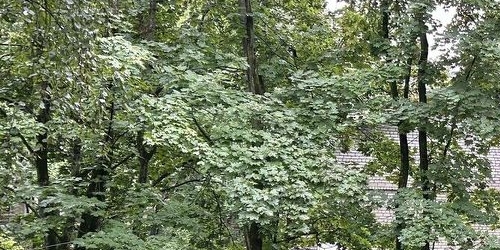 2-комн квартира улица Шателена, 12