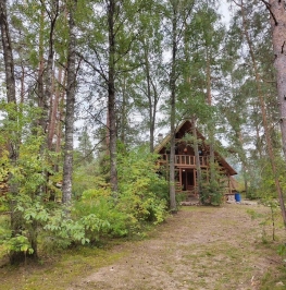 Аренда дома Толмачево, ул Толмачева,  д. 12