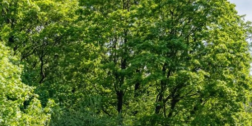 4-комн квартира Почтамтская улица, 12