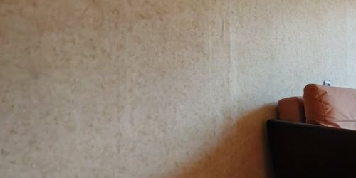 1-комн квартира Пушкин, Петербургское шоссе, 15/2