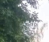 Продать Квартиры вторичка Пушкино, Акуловское шоссе, 35   