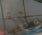 Сдать в аренду Квартиры вторичка 10-я Парковая улица, 17   