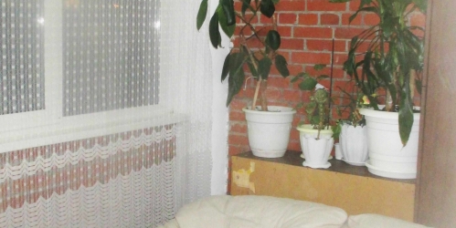 1-комн квартира Колпино г, Металлургов ул ,  д. 4