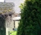 Продать Дачи, коттеджи, загородные дома Лебяжье городской поселок   