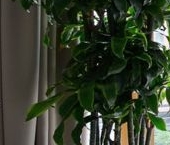 Продать Квартиры вторичка улица Усачева, 13   