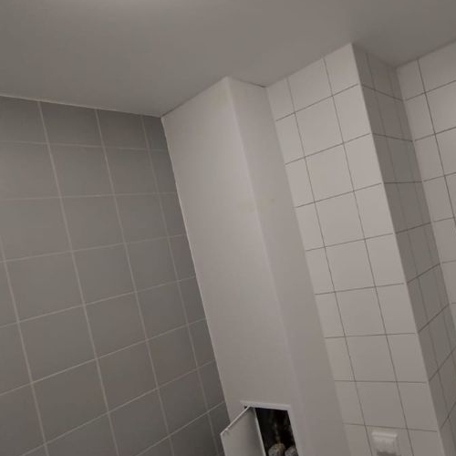 Студия пос. Шушары, проспект Старорусский, 5к2