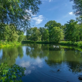 Продажа ПСН Загородная улица Продажа ПСН Загородная улица