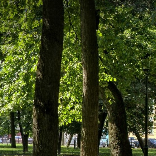 2-комн квартира набережная Канала Грибоедова, 119-121