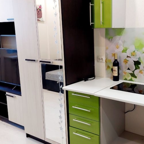 Студия пос. Шушары, переулок Вилеровский, 6