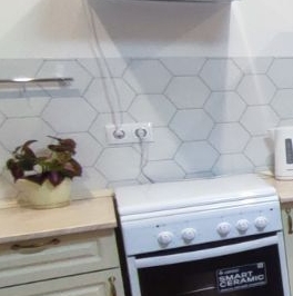 Аренда студии Новоселье городской поселок, улица Невская, 17к1