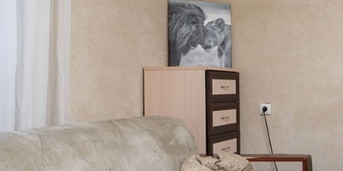 1-комн квартира Пушкин, Гражданская улица, 16