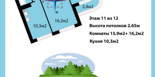 2-комн квартира Выборгское шоссе,  д. 31