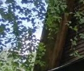 Продать Дачи, коттеджи, загородные дома Посадников остров садоводческий массив, Кембрий СНТ, 32-я линия   