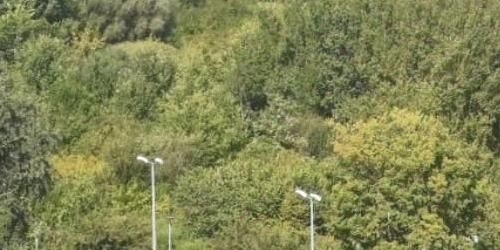 1-комн квартира улица Маршала Захарова, 10К2