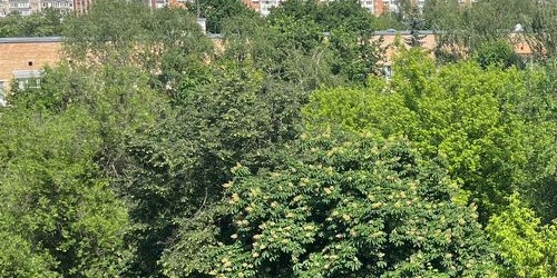 2-комн квартира улица Академика Павлова, 6