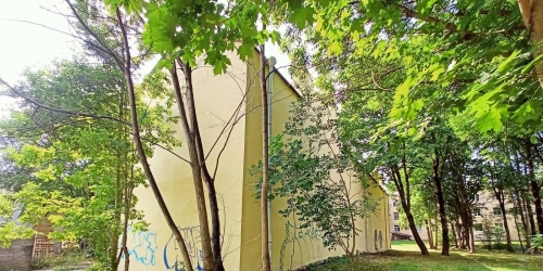 Отдельное здание Пушкин г ,  д. 39