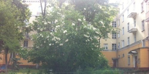 Комната Ревпроспект,  д. 52,  к. 39