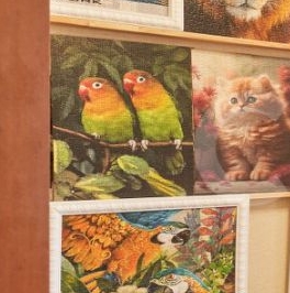 Продажа 1-комн квартиры на вторичном рынке Петергофское шоссе, 84к11 Продажа 1-комн квартиры на вторичном рынке Петергофское шоссе, 84к11