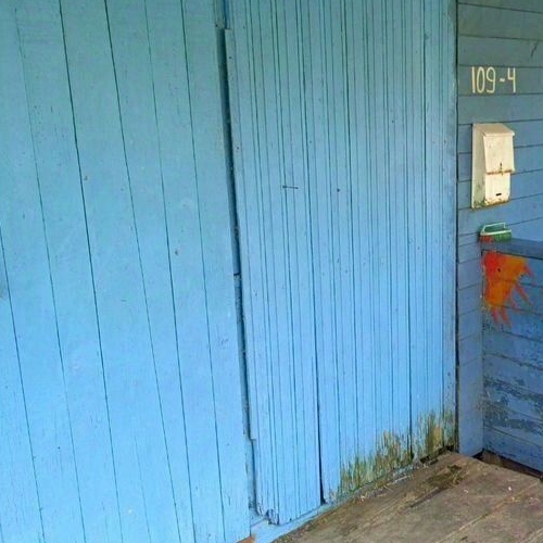 Коттедж/дом д. Большие Поля, 109