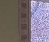 Сдать в аренду Квартиры вторичка 4-я Тверская-Ямская улица, 4   