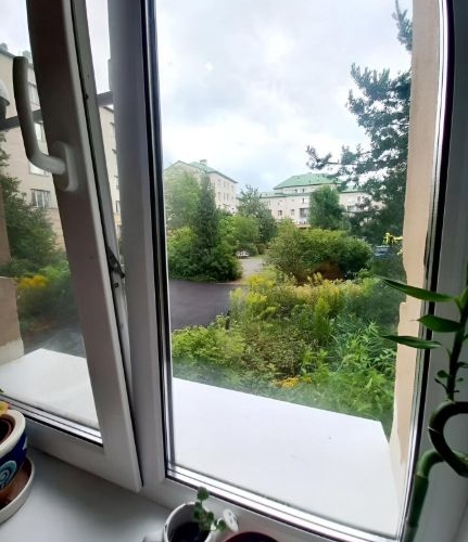 1-комн квартира Пушкин, Петербургское шоссе, 8к1