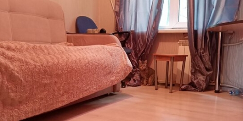 4-комн квартира Комсомольская 2-я ул,  д. 43