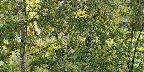 1-комн квартира улица Шаврова, 7К1