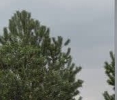 Продать Дачи, коттеджи, загородные дома Петергоф, Петергофские Дачи кп   